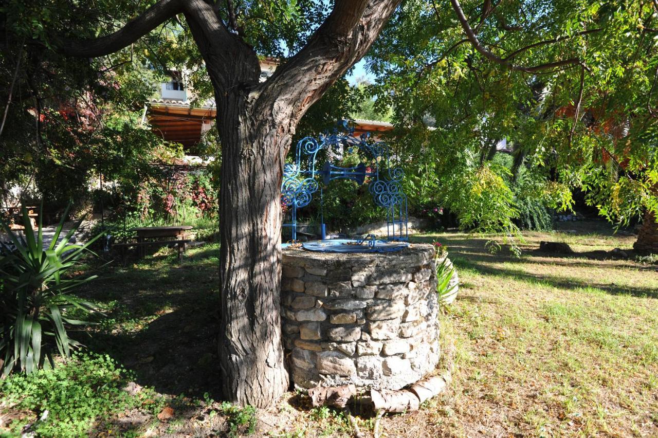 Villa Theodora View Apartments Zeys Agios Georgios Pagon Eksteriør billede